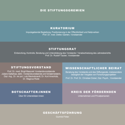 Deutsche Stiftung Tinnitus & Hören Charité – Organisationsstruktur
