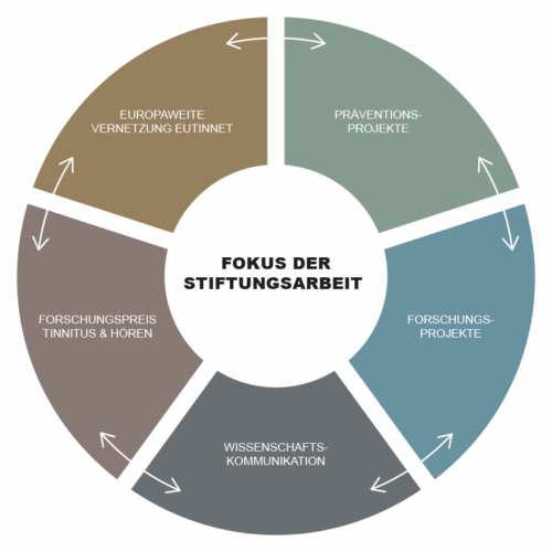 Fokus der Stiftungsarbeit 2023 Grafik – Fokus der Stiftungsarbeit 2023
