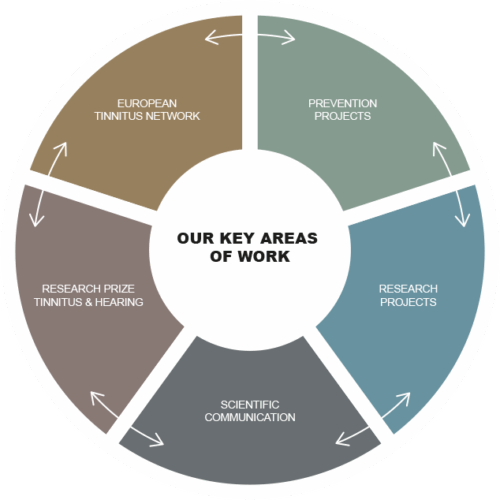 Key areas of work