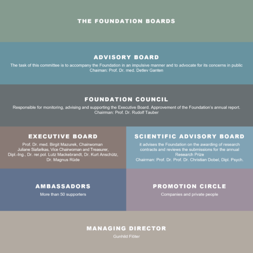 Organisational structure